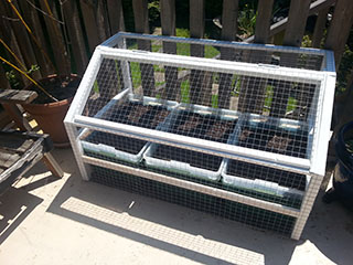 containergardenafter (1)
