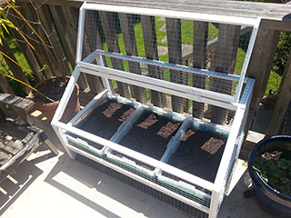 containergardenbefore